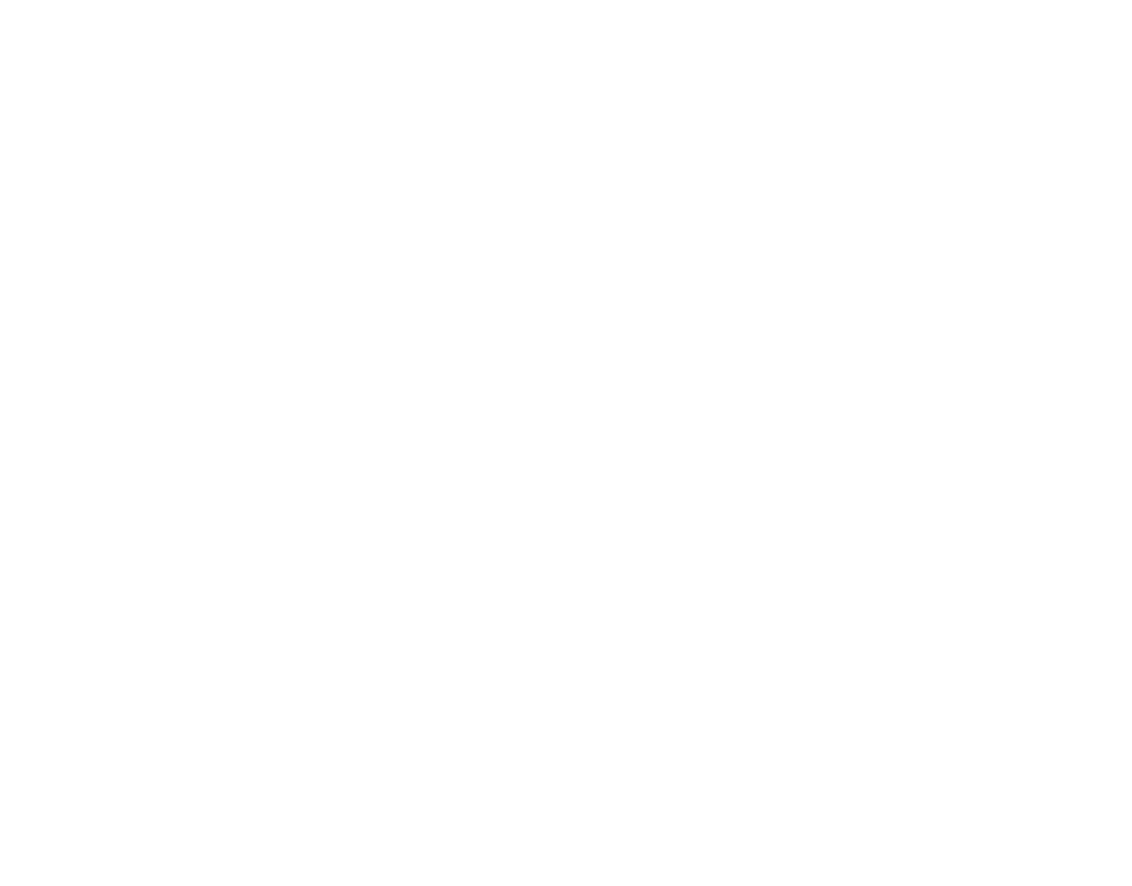 logo_login_weiss