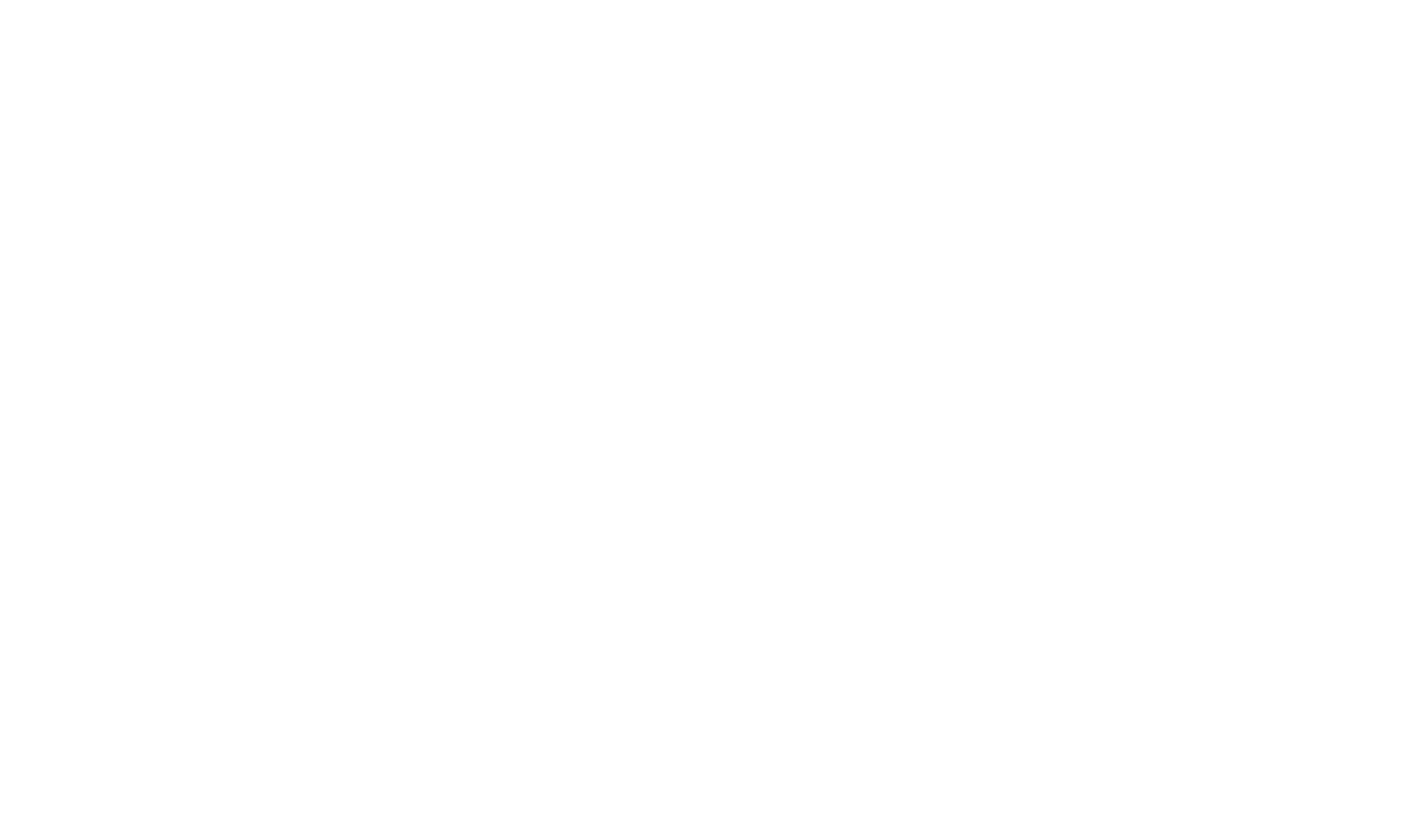 logo_planung_weiss